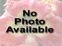 No Photo