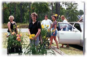 Hemingway Daylily Nursery